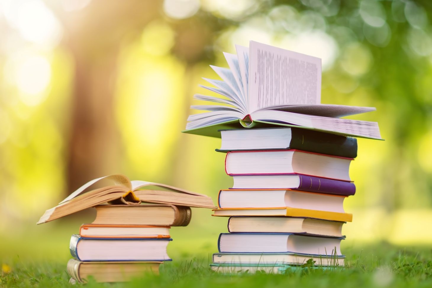 mars avril 2026 - nouveautes bib arsh